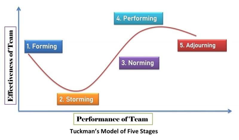 Group Development Stages