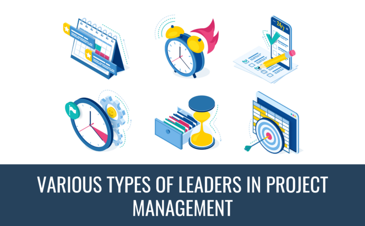  Various Types Of Leaders In Project Management